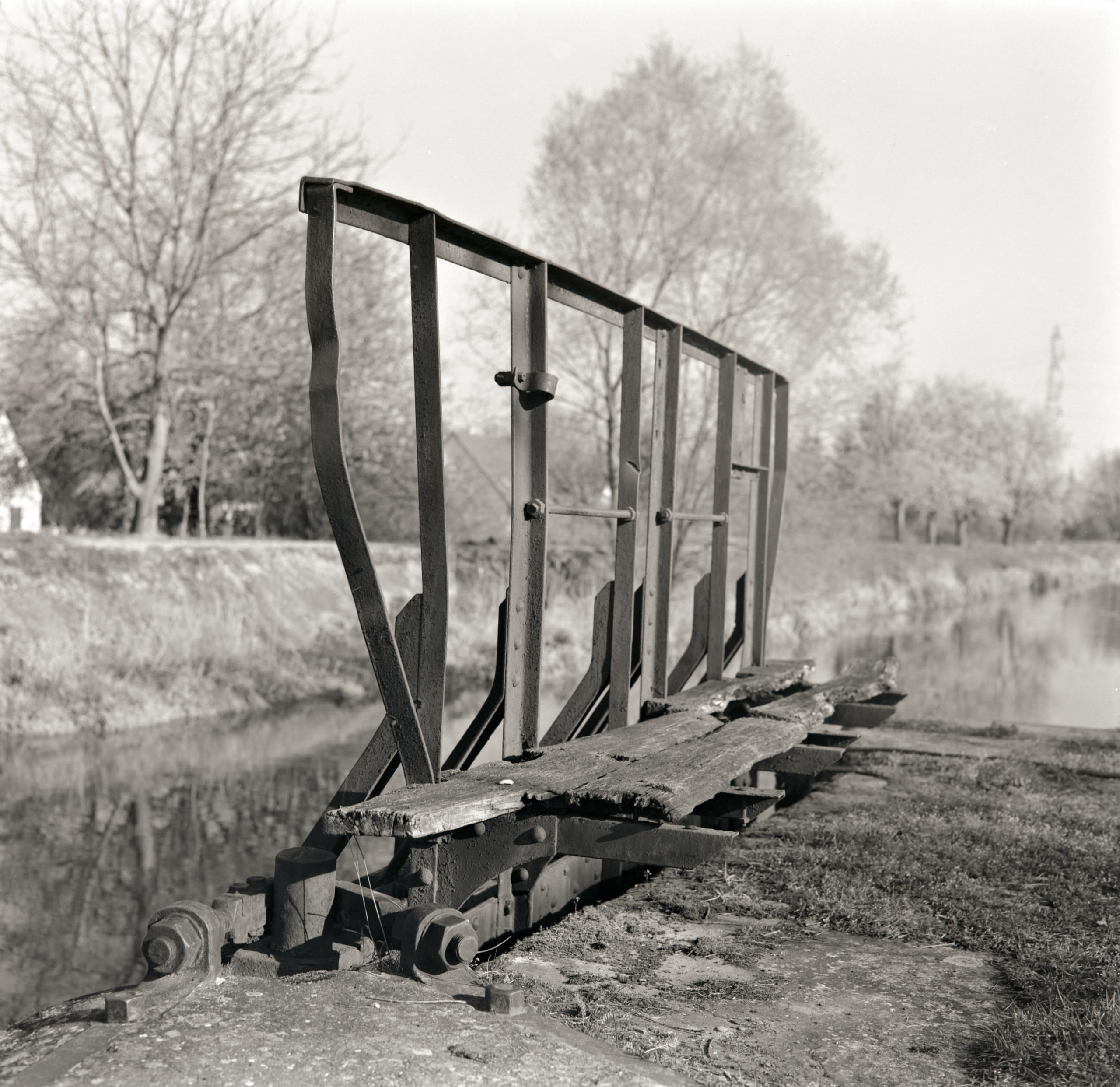 AHP FilmScan 240808 0996